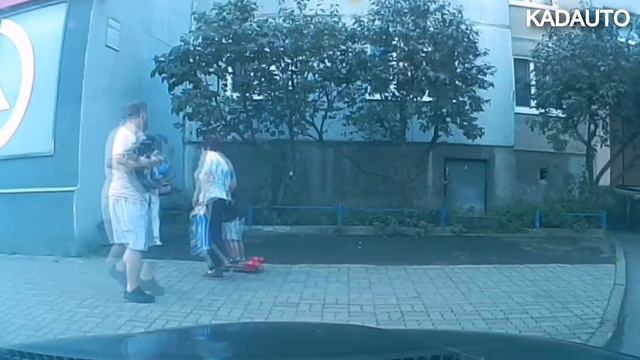 В мире животных. Калининград. смотреть онлайн