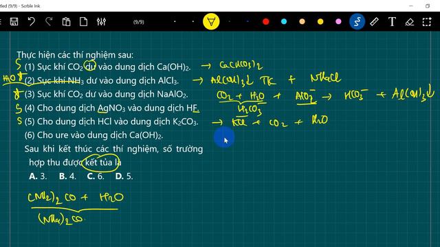 (1) Sục khí CO2 dư vào dung dịch Ca(OH)2. (2) Sục khí NH3 dư vào dung dịch AlCl3. смотреть онлайн