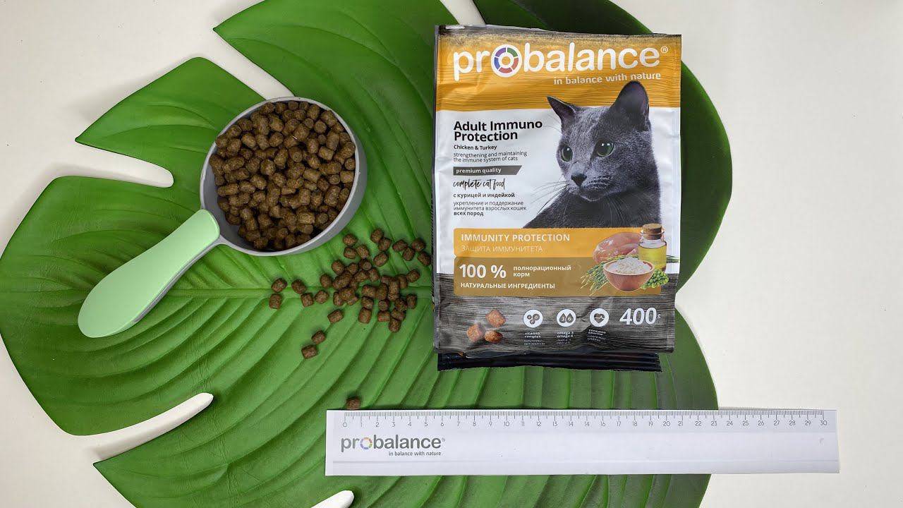 Корм для кошек PROBALANCE "IMMUNO PROTECTION" С КУРИЦЕЙ И ИНДЕЙКОЙ смотреть онлайн