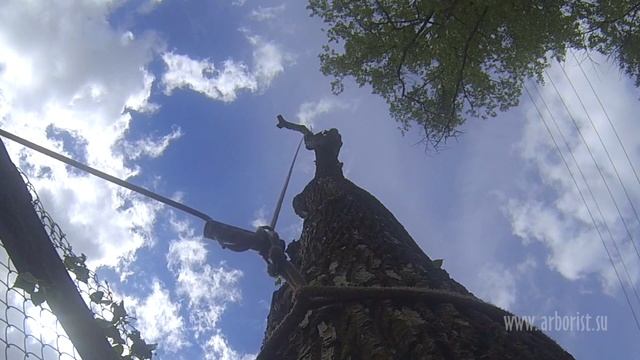 Удаление крупного тополя альпинистами. смотреть онлайн