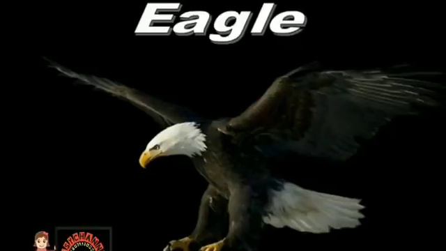 Sardar Patel Children Academy School Pilani (LKG Digital Course) смотреть онлайн