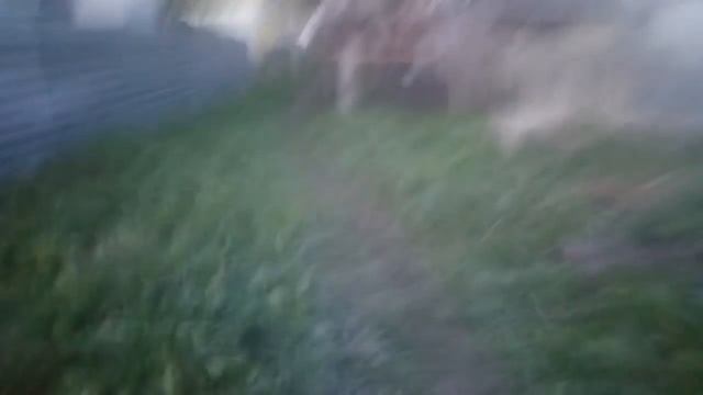 ЭТО ШОК! ЧТО ОН ТВОРИТ? смотреть онлайн
