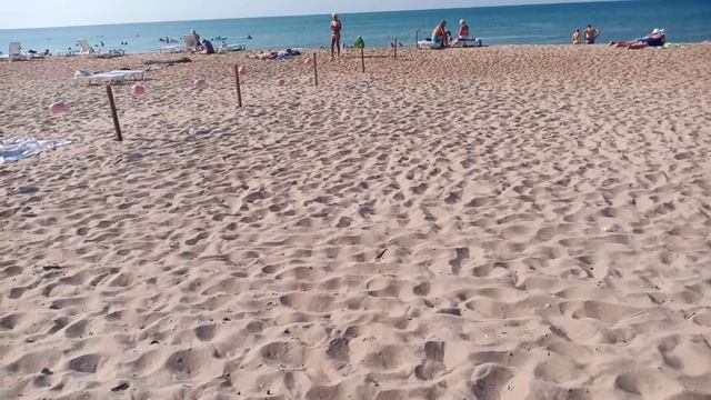 Нашествие стрекоз на пляже в #Благовещенской #Анапа. Стрекозы пожирают комаров. смотреть онлайн