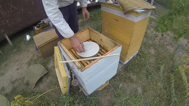 утепление при подкормке пчел сиропом смотреть онлайн