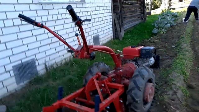 Копаем картофель мотоблоком МТЗ-09Н с картофелекопалкой. смотреть онлайн