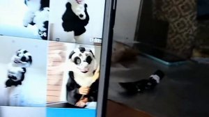 Как сделать ПОРОЛОНОВУЮ основу для фурсьюта#1