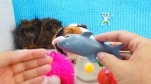 НОВЫЕ АНТИСТРЕССЫ ЗОМБОУТКА, СКВИШИ МЕДВЕДЬ, ЛИПКИЙ СЛАЙМ! ЧТО У НИХ ВНУТРИ? СВИНКА БУЗЯ