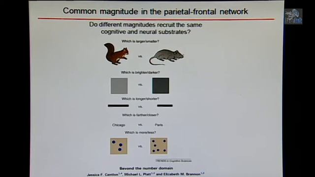 Aldo Genovesio BCBT13