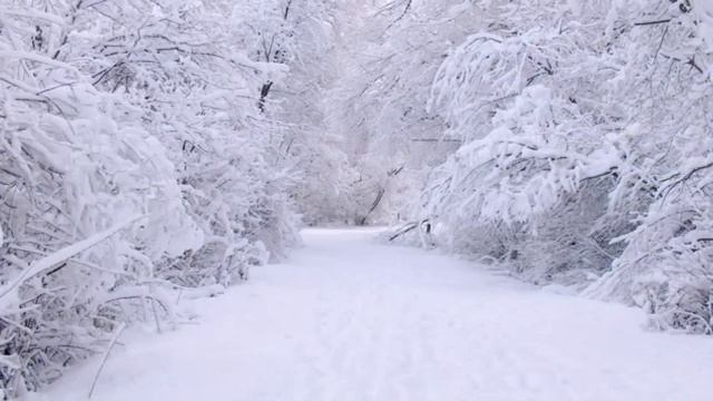 Tarantul (Санёк) - Сон  (pre Foto Mix)
