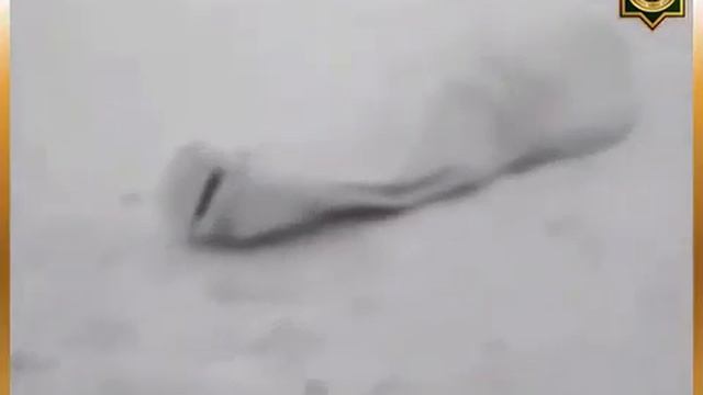 Ингушские сироты на пути в Казахстан.Ася Гелисханова. смотреть онлайн