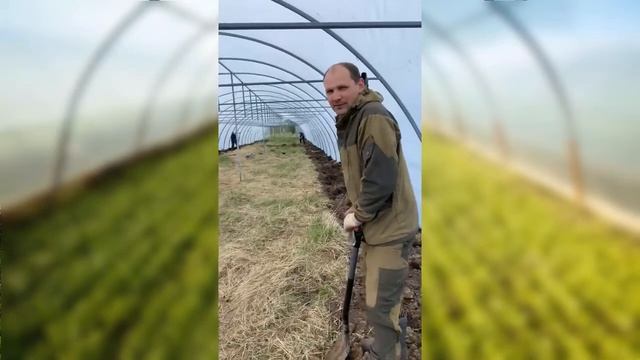 Фермерская теплица