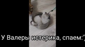 Реакция Виндяя и Валеры на ТТ