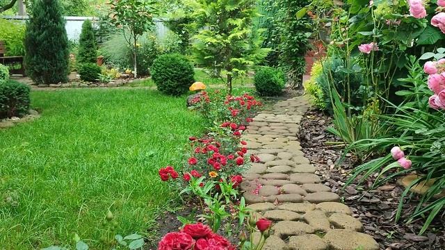 Дача//Волшебное утро в саду??? смотреть онлайн