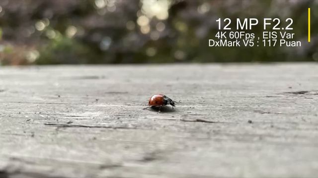 2024'te iPhone 12 Hala Alınır Mı ? - TÜM Deneyimlerim смотреть онлайн