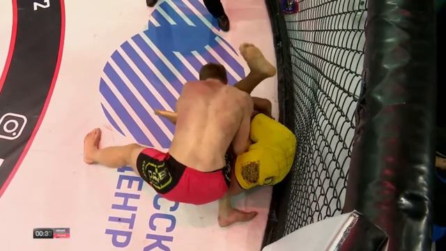 Владимир Минеев новый бой против Диего Диаса VLADIMIR MINEEV vs DIEGO DIAS смотреть онлайн