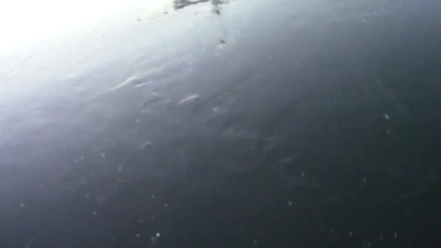 СЕЗОН ЗАКОЛДОВАННЫХ ЖЕРЛИЦ ОТКРЫТ 2019-2020 смотреть онлайн