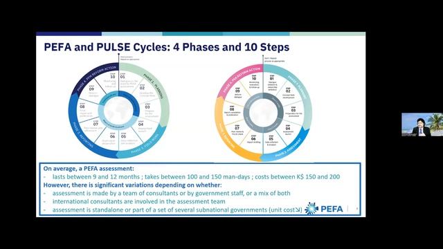 Presentation Of The Public Sector Accounting Assessment (PULSE) Framework [RU]