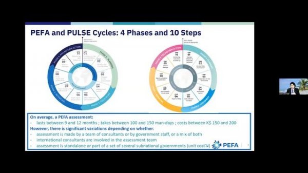 Presentation of the Public Sector Accounting Assessment (PULSE) Framework [RU]