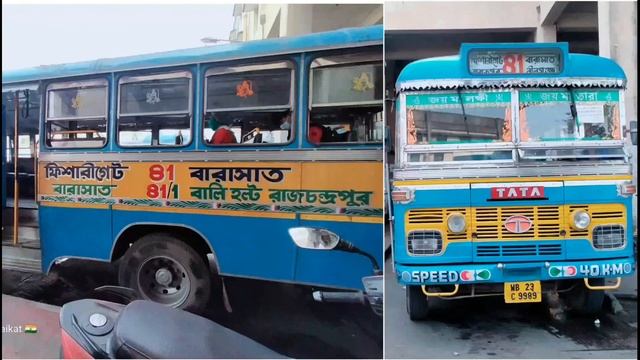 81 And 81/1 Number Bus Stand, Barasat To Fishery Gate And Rajchandrapur With Full Information. смотреть онлайн