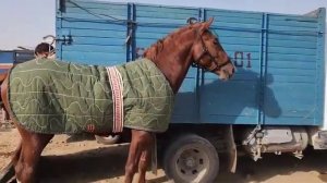 Асп бозори Ленинский район.