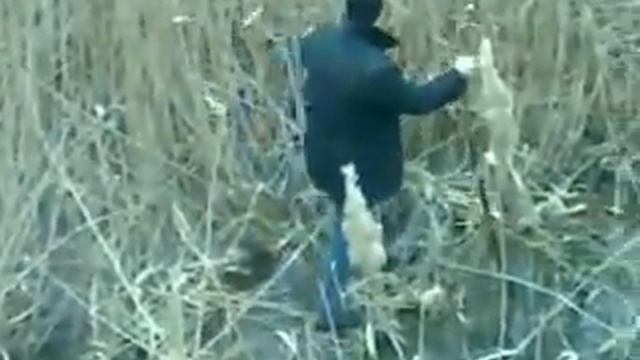 Парень упал под лед, эпик. Смотреть с 0:45 смотреть онлайн