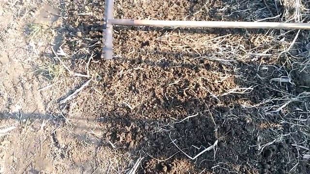 Органическое земледелие. Повышение плодородия. Посев сидератов весной. смотреть онлайн