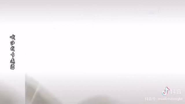 八仙 铁拐李 汉钟离 张果老 吕洞宾 何仙姑 蓝采和 韩湘子 曹国舅 Legend of the Eight Immortals 东游记 逍遥游 แปดเซียน смотреть онлайн