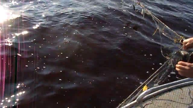 рыбалка на Белом море смотреть онлайн