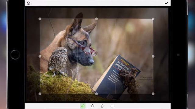 TitleFX - лучшее приложение для добавления текста к вашим фото