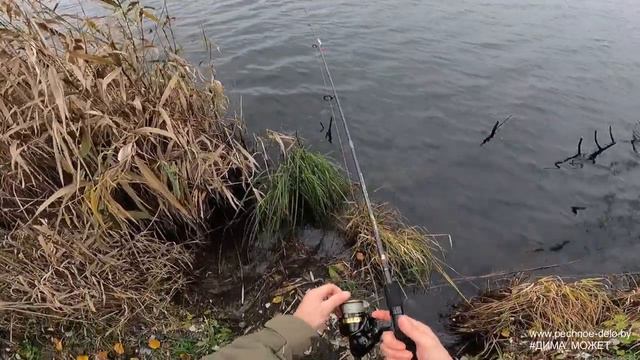 326. Осенняя рыбалка. Первая щука, с украинского водоема. 7 ноября 2020 г. смотреть онлайн