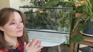 Как сделать большой флорариум: грунт, задняя стенка, растения, изоподы