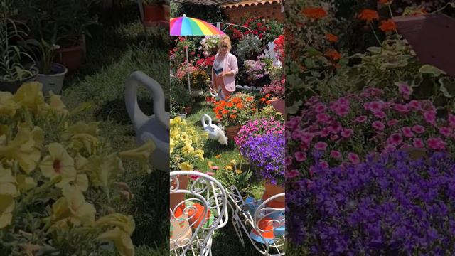 SÍGUEME te enseño consejos trucos y cuidados para mejorar tu jardín #floresferrera смотреть онлайн