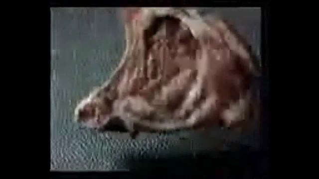 Реклама Tefal 1999 смотреть онлайн