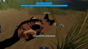 Обновление в warriors cats. Новые анимации ходьбы. Добавили три новых животных. Обзор