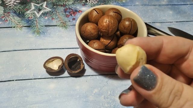 Макадамия орех с ключиком | Macadamia Nut