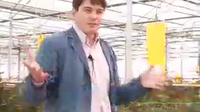Мхом поросло 17-01-13 смотреть онлайн