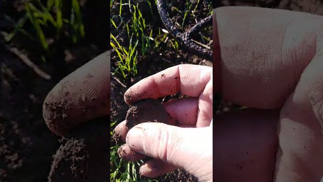 2 копейки серебром 1840 смотреть онлайн