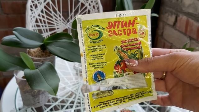 Смешайте эти два дешёвых препарата и произойдёт ЧУДО❗ОРХИДЕИ реанимашки ОЖИВУТ/ мамины реанимашки смотреть онлайн