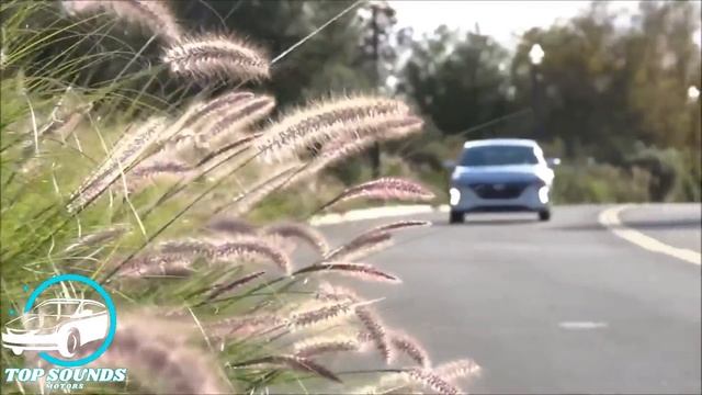 Novo Hyundai Ioniq 2019 100% elétrico - Detalhes e Especificações | Top Carros смотреть онлайн