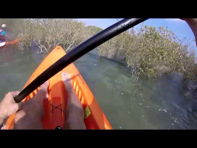 Sir Bani Yas смотреть онлайн