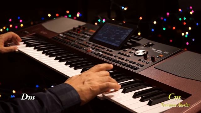 Yeni KORG PA1000 - Kış Masalı - Enstrümantal Cover - Adını Dağlara yazdım смотреть онлайн