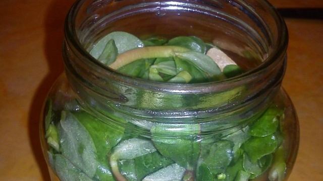 Сборник рецептов