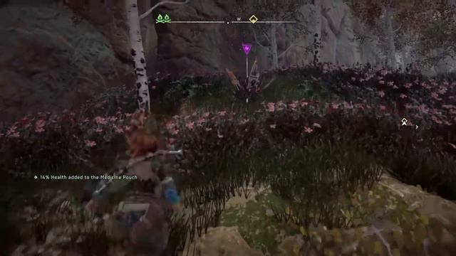 Horizon Zero Dawn Walkthrough Part 39 - Rosts Grave (PS4 Gameplay Commentary Walkthrough) смотреть онлайн