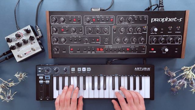 Sequential Prophet 5 Sound Demo (no talking) with Patches for Ambient and Techno смотреть онлайн