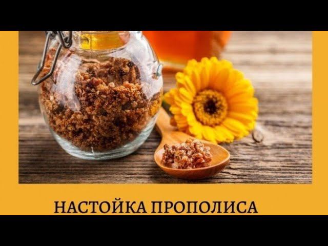 Хозяйка нашего двора
