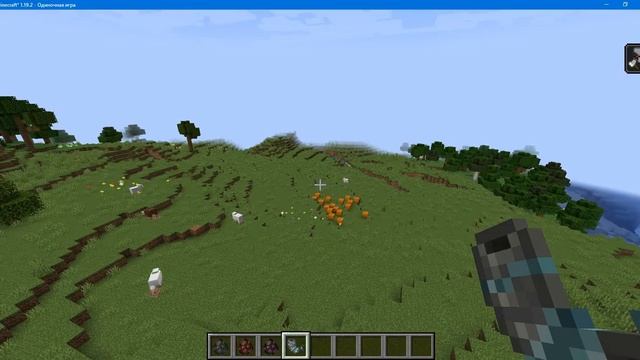 Мод на разбойников в Майнкрафт