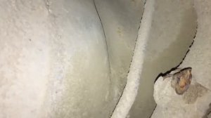 замена салентблоков задней подвески рав4