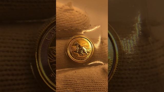 5 Долларов Полярный Медведь Канада / Золотая монета 999 #монеты #coin #gold #collection смотреть онлайн