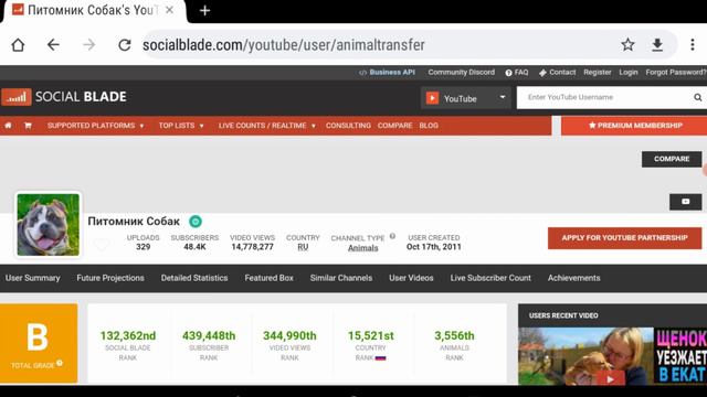 Питомник Собак - Обзор канала смотреть онлайн