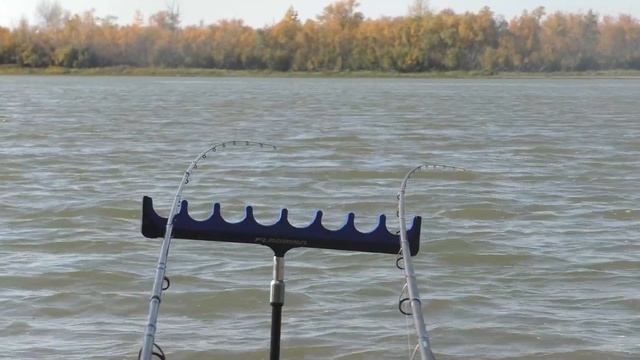 Поклёвки на фидер. Закрытие фидерного сезона 2020. Язь и лещ на фидер — Омская рыбалка #OmskFish смотреть онлайн